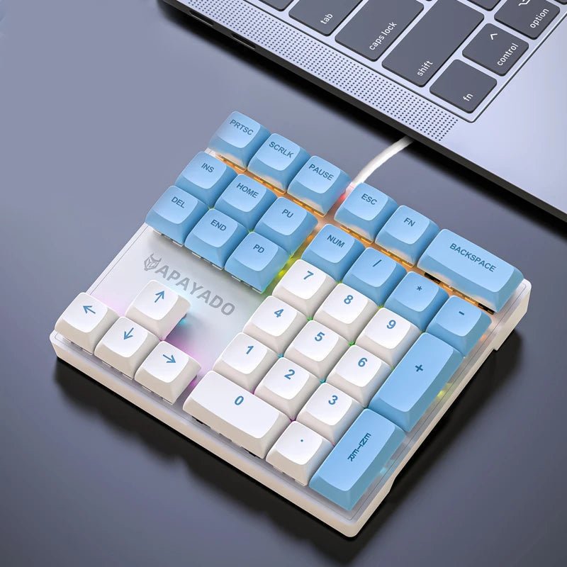 Apayado Mechanical KeyPad - Crytech